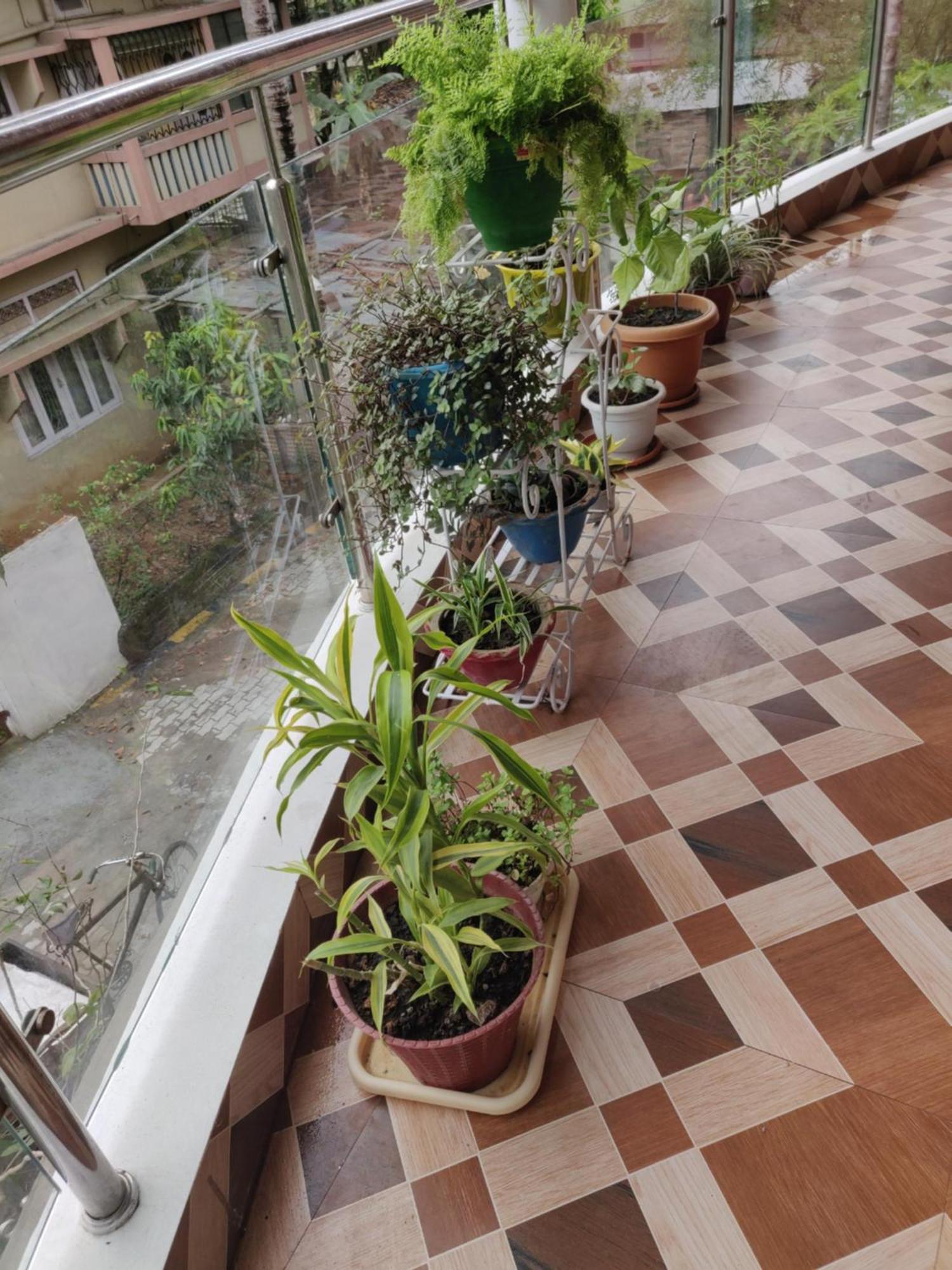 Bandana'S Bed & Breakfast Guwahati Ngoại thất bức ảnh